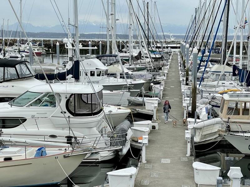 Walking the dogs from our slip on J dock.